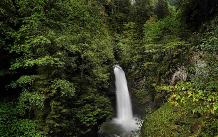 YAYLA YAYLA ÖZEL KARADENİZ TURU FC