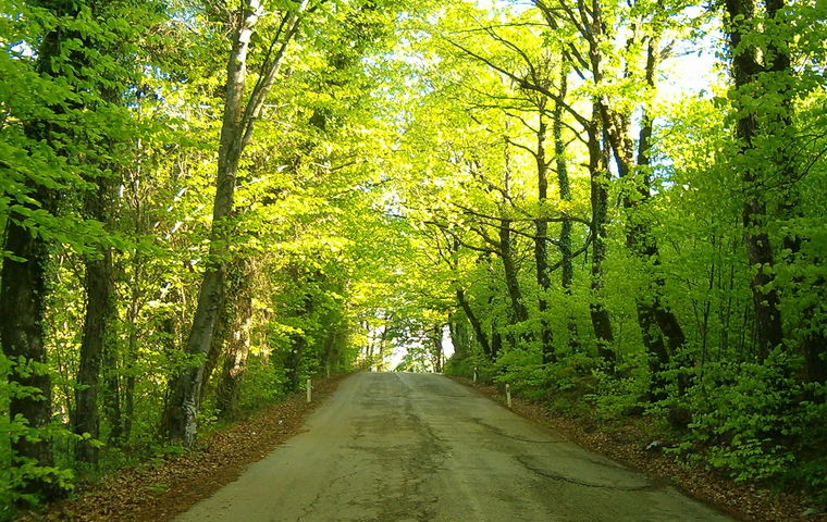 İstanbul - Edirne Turu